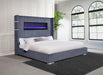 Tisdall California King, E.King & Queen Bed Grey, Black & Queen - Visions in Furniture (La Mirada, CA)