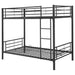 Hayward Bunk Beds - Visions in Furniture (La Mirada, CA)