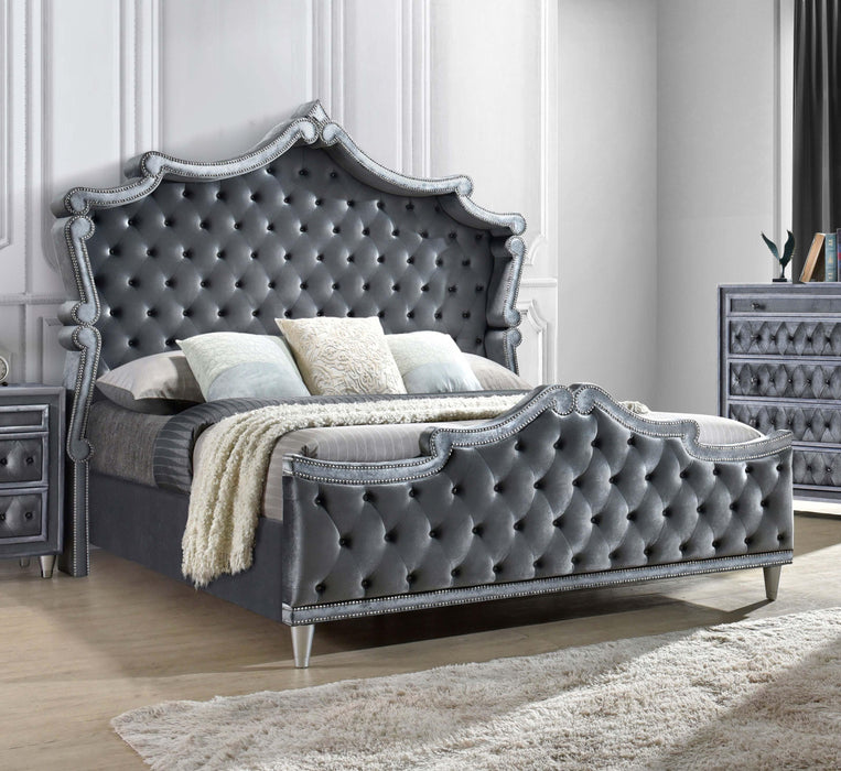 Antonella Upholstered Tufted Eastern King Bed Grey - Visions in Furniture (La Mirada, CA)