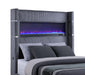 Tisdall California King, E.King & Queen Bed Grey, Black & Queen - Visions in Furniture (La Mirada, CA)