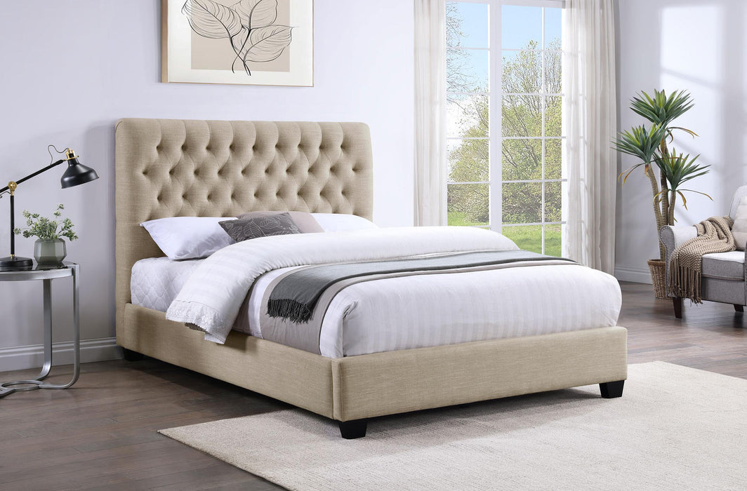 Chloe Queen Beds - Visions in Furniture (La Mirada, CA)