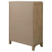 Revello Chests - Visions in Furniture (La Mirada, CA)