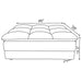 Atlantic Ottomans - Visions in Furniture (La Mirada, CA)