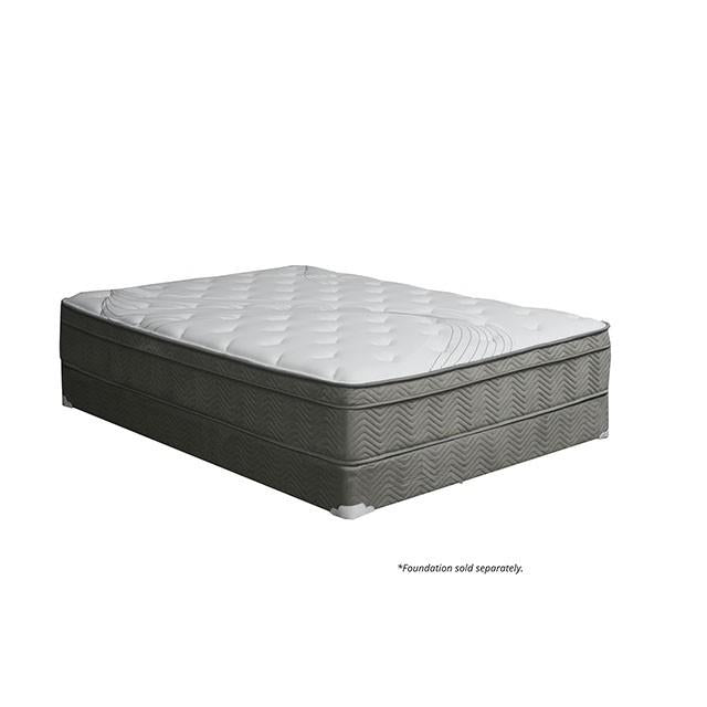 AFTON White/Gray 12" Euro Box Pocket Coil, Cal.King, E king, Full, & Queen - Visions in Furniture (La Mirada, CA)