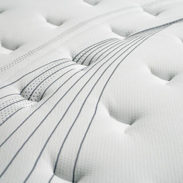 AFTON White/Gray 12" Euro Box Pocket Coil, Cal.King, E king, Full, & Queen - Visions in Furniture (La Mirada, CA)