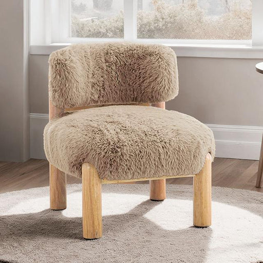 Alcoba Accent Chair - Visions in Furniture (La Mirada, CA)