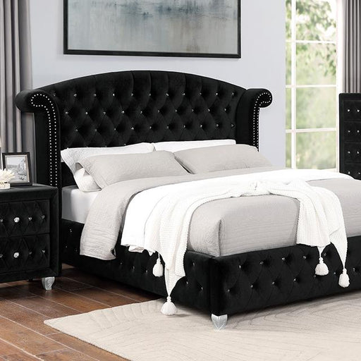 Zohar Bed Black & Pink - Visions in Furniture (La Mirada, CA)