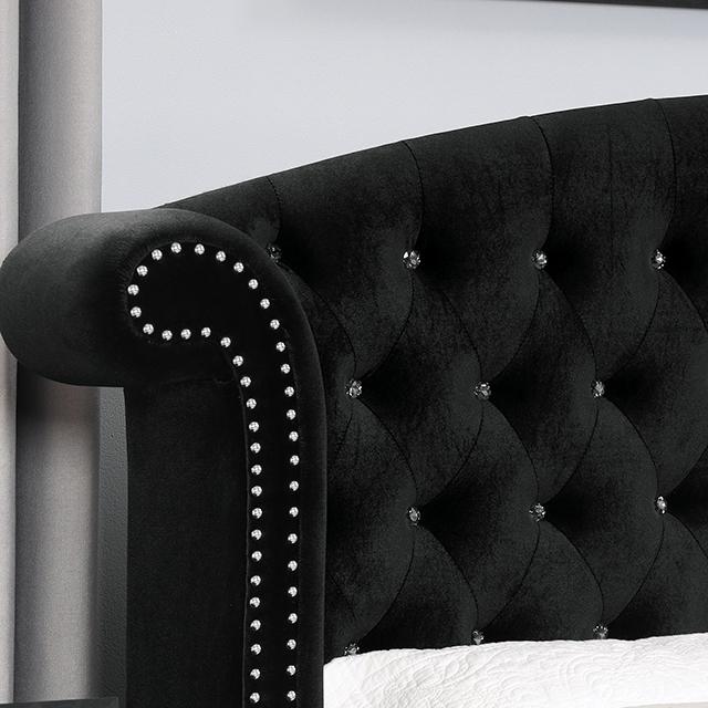 Zohar Bed Black & Pink - Visions in Furniture (La Mirada, CA)