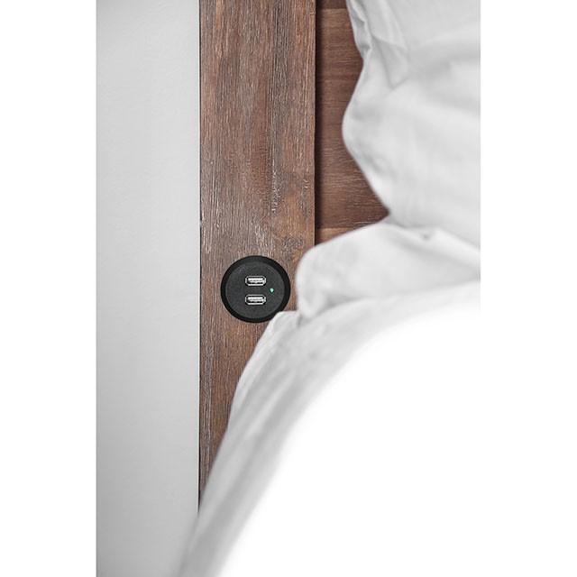 Wynton Weathered Light Oak Cal.King, E.King, & Queen Bed - Visions in Furniture (La Mirada, CA)