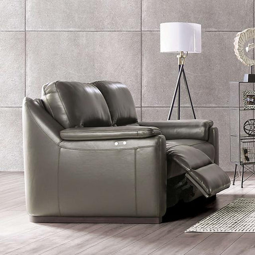 ALTAMURA Power Loveseat, Gray & Beige - Visions in Furniture (La Mirada, CA)