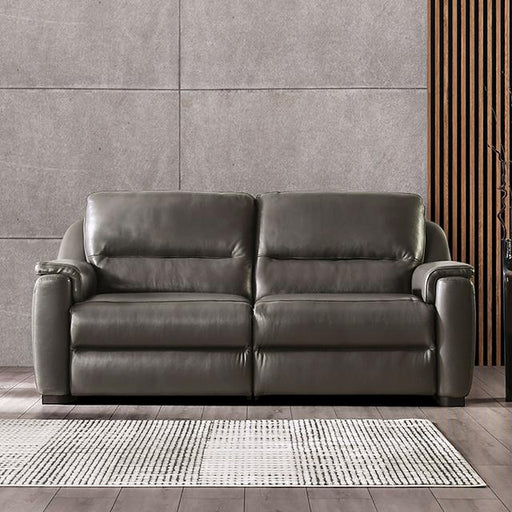 ALTAMURA Power Sofa, Gray & Beige - Visions in Furniture (La Mirada, CA)
