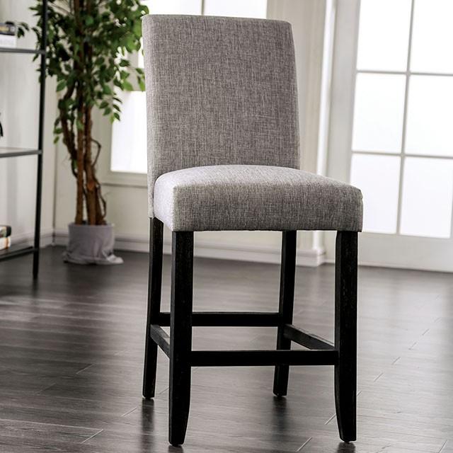 BRULE Counter Ht. Side Chair (2/Ctn) - Visions in Furniture (La Mirada, CA)