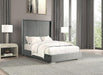 Cadwell Bed Black, Grey, Pink & White - Visions in Furniture (La Mirada, CA)