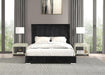 Cadwell Bed Black, Grey, Pink & White - Visions in Furniture (La Mirada, CA)