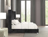 Cadwell Bed Black, Grey, Pink & White - Visions in Furniture (La Mirada, CA)
