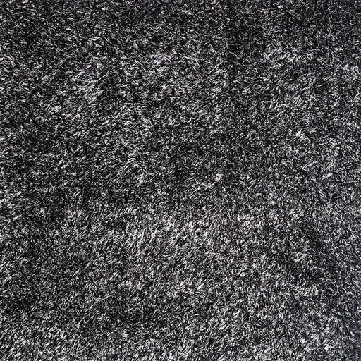 Annmarie Black 5' X 8' Area Rug - Visions in Furniture (La Mirada, CA)
