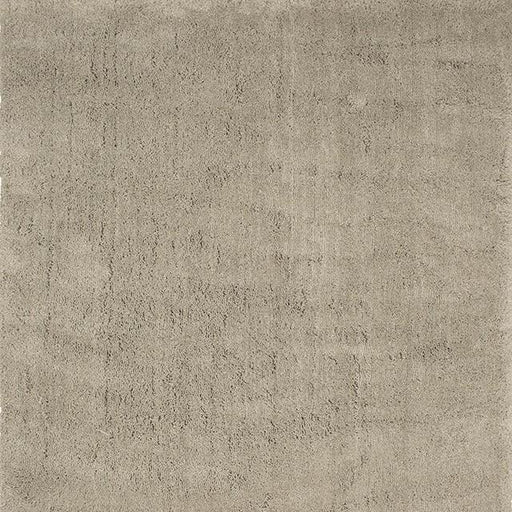 Camara Area Rug - Visions in Furniture (La Mirada, CA)