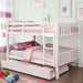 Cameron Dark Walnut, White & Gray Full/Full Bunk Bed - Visions in Furniture (La Mirada, CA)