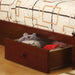 Coney Island Bunk Bed Chrome - Visions in Furniture (La Mirada, CA)