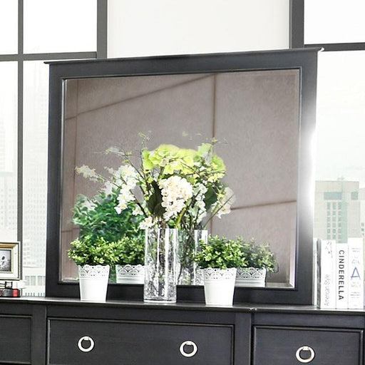 Arabelle Mirror - Visions in Furniture (La Mirada, CA)