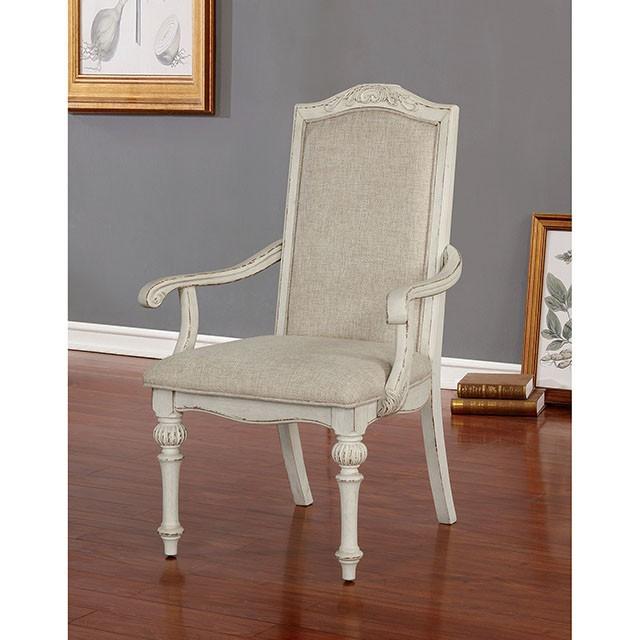 ARCADIA Arm Chair (2/CTN) - Visions in Furniture (La Mirada, CA)