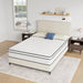 Catmint 10" Full Innerspring Mattress - Visions in Furniture (La Mirada, CA)