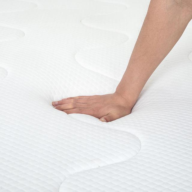 Catmint 10" Queen Innerspring Mattress - Visions in Furniture (La Mirada, CA)