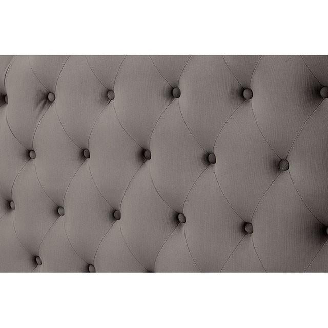 Cayla Bed Silver & Grey - Visions in Furniture (La Mirada, CA)