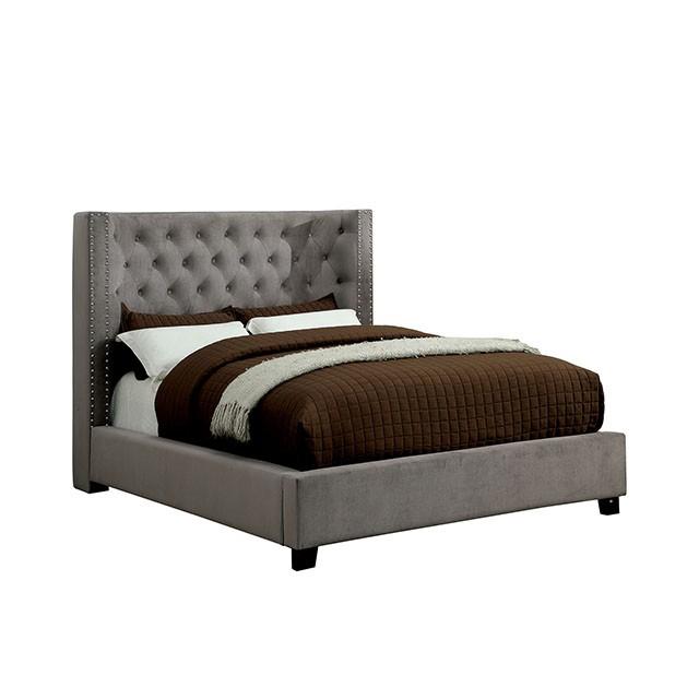 Cayla Bed Silver & Grey - Visions in Furniture (La Mirada, CA)