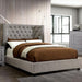 Cayla Bed Silver & Grey - Visions in Furniture (La Mirada, CA)