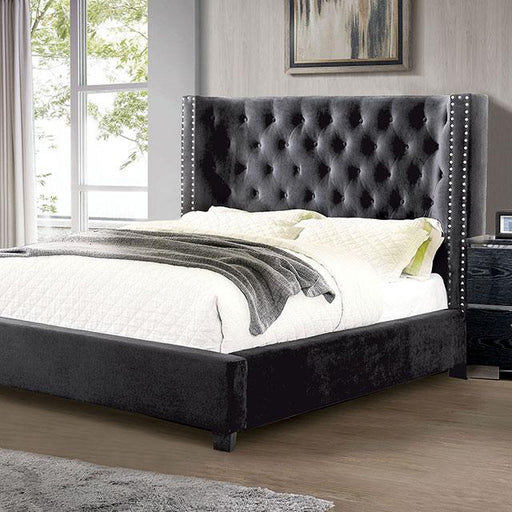 Cayla Bed Silver & Grey - Visions in Furniture (La Mirada, CA)