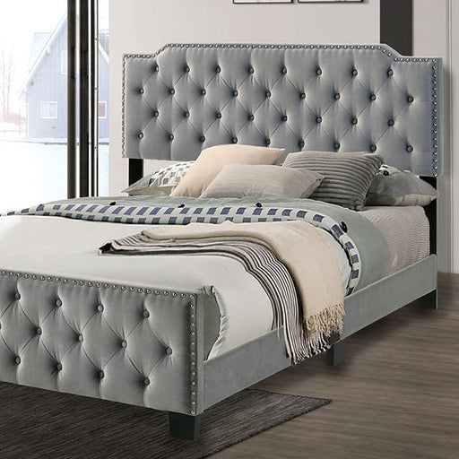 Charlize Bed Grey & Navy - Visions in Furniture (La Mirada, CA)