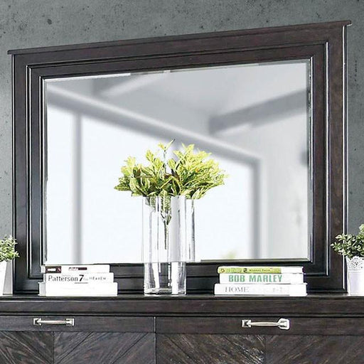 Argyros Espresso Mirror - Visions in Furniture (La Mirada, CA)