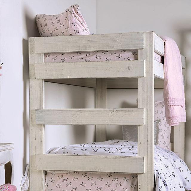 Arlette Twin/Twin Bunk Bed Brown, Black, Gray, & White - Visions in Furniture (La Mirada, CA)