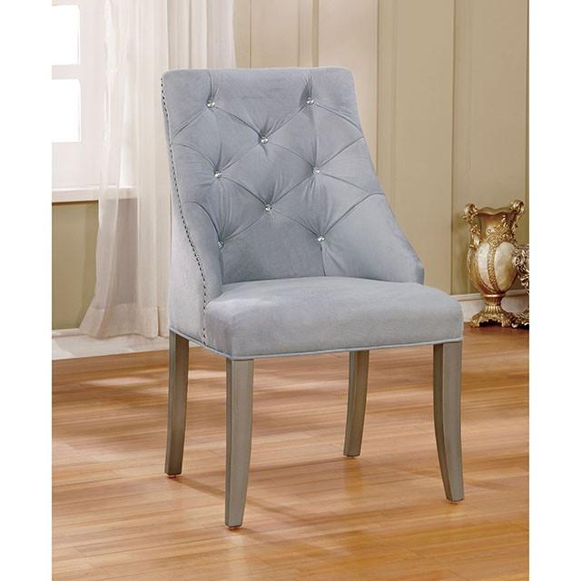 DIOCLES Silver/Light Gray Side Chair (2/CTN) - Visions in Furniture (La Mirada, CA)