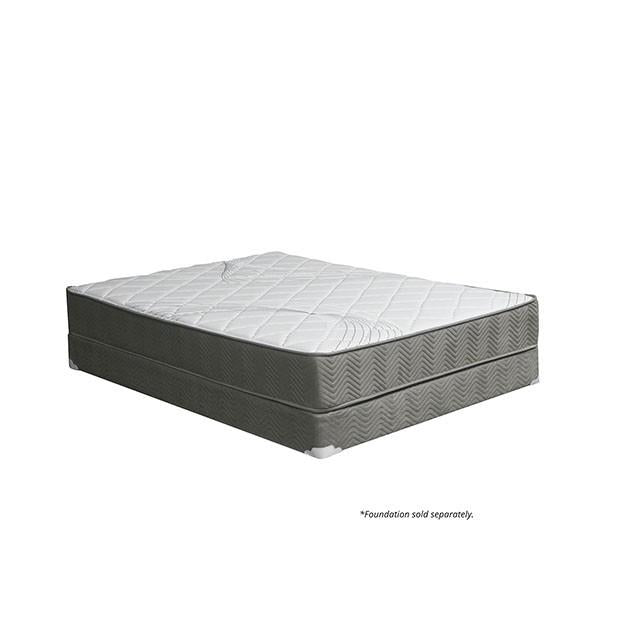 EDREA White/Gray 10" Tight Top Pocket Coil, Full - Visions in Furniture (La Mirada, CA)