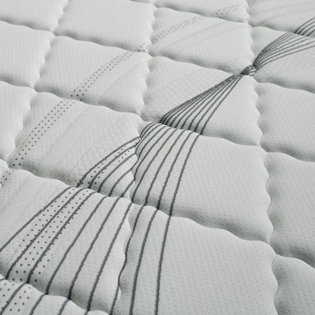 EDREA White/Gray 10" Tight Top Pocket Coil, Queen - Visions in Furniture (La Mirada, CA)