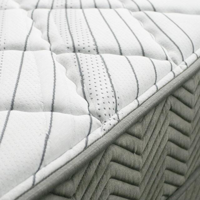 EDREA White/Gray 10" Tight Top Pocket Coil, Queen - Visions in Furniture (La Mirada, CA)