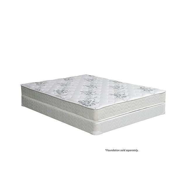 Elbertyna 8 Tight Top Mattress (Non-Flip) - Visions in Furniture (La Mirada, CA)