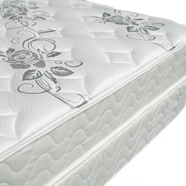 Elbertyna 8 Tight Top Mattress (Non-Flip) - Visions in Furniture (La Mirada, CA)