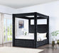 Etherea Bed - Visions in Furniture (La Mirada, CA)
