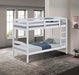 Finsbury Twin Twin Bunk Bed Espresso, Grey & White - Visions in Furniture (La Mirada, CA)