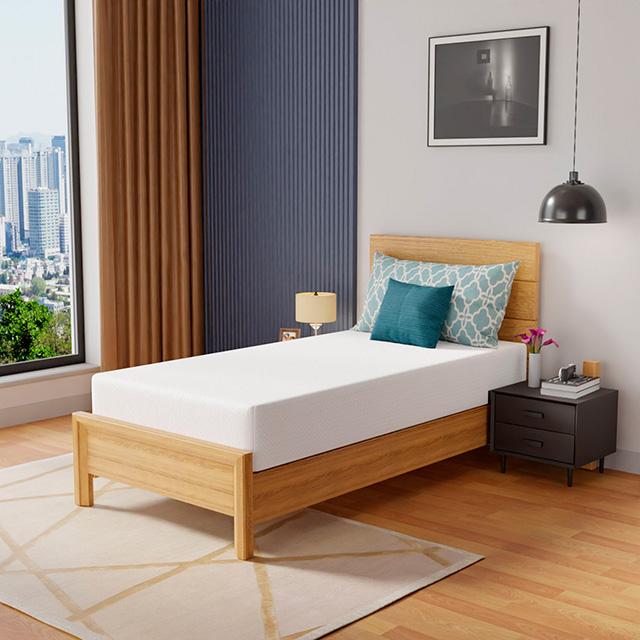 Coreopsis 10" Twin Memory Foam Wave Comfort - Visions in Furniture (La Mirada, CA)