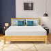 Coreopsis 12" E.King Memory Foam Wave Comfort - Visions in Furniture (La Mirada, CA)