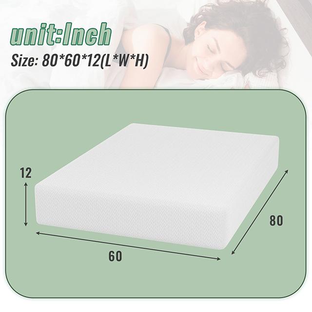 Coreopsis 12" Queen Memory Foam Wave Comfort - Visions in Furniture (La Mirada, CA)