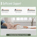 Coreopsis 12" E.King Memory Foam Wave Comfort - Visions in Furniture (La Mirada, CA)