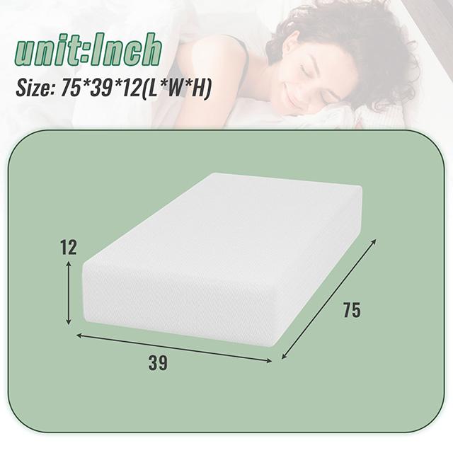 Coreopsis 12" Twin Memory Foam Wave Comfort - Visions in Furniture (La Mirada, CA)