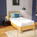 Coreopsis 12" Twin Memory Foam Wave Comfort - Visions in Furniture (La Mirada, CA)