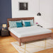 Coreopsis 8" E.King Memory Foam Wave Comfort - Visions in Furniture (La Mirada, CA)