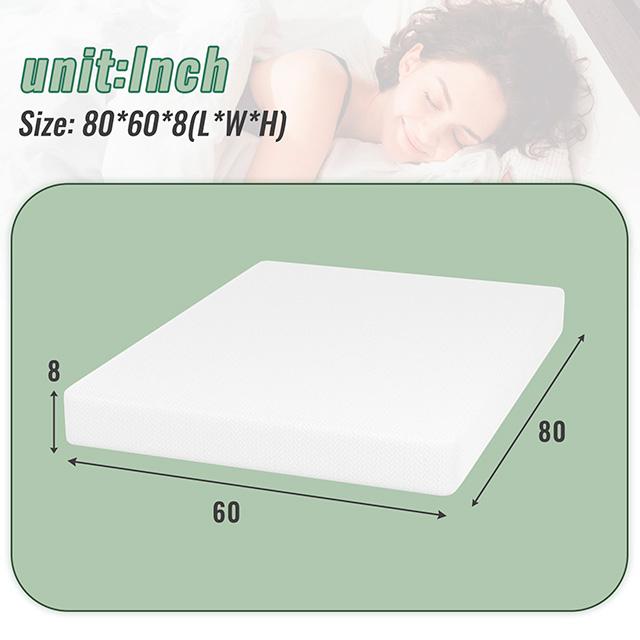 Coreopsis 8" Queen Memory Foam Wave Comfort - Visions in Furniture (La Mirada, CA)